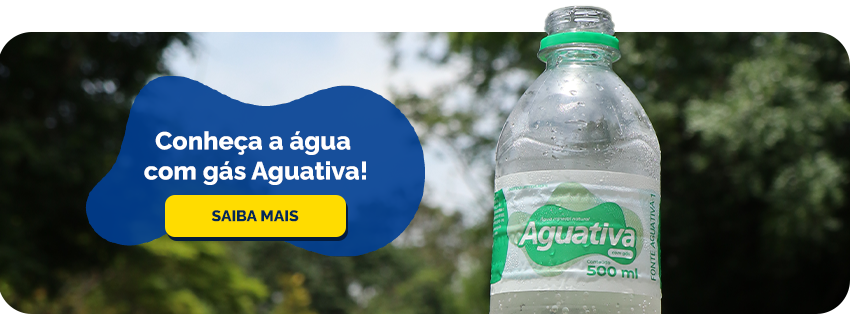 Conheça os benefícios da água com gás do Aguativa