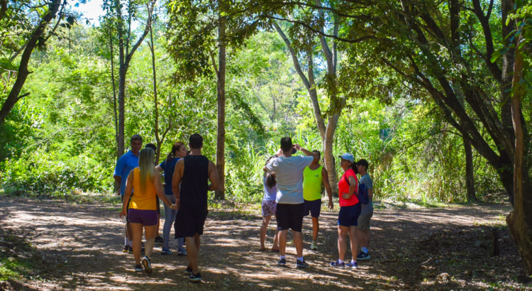 Tudo sobre turismo sustentável no Brasil